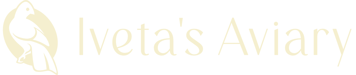 Iveta's Aviary