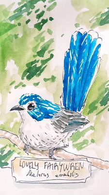 Printyourbird